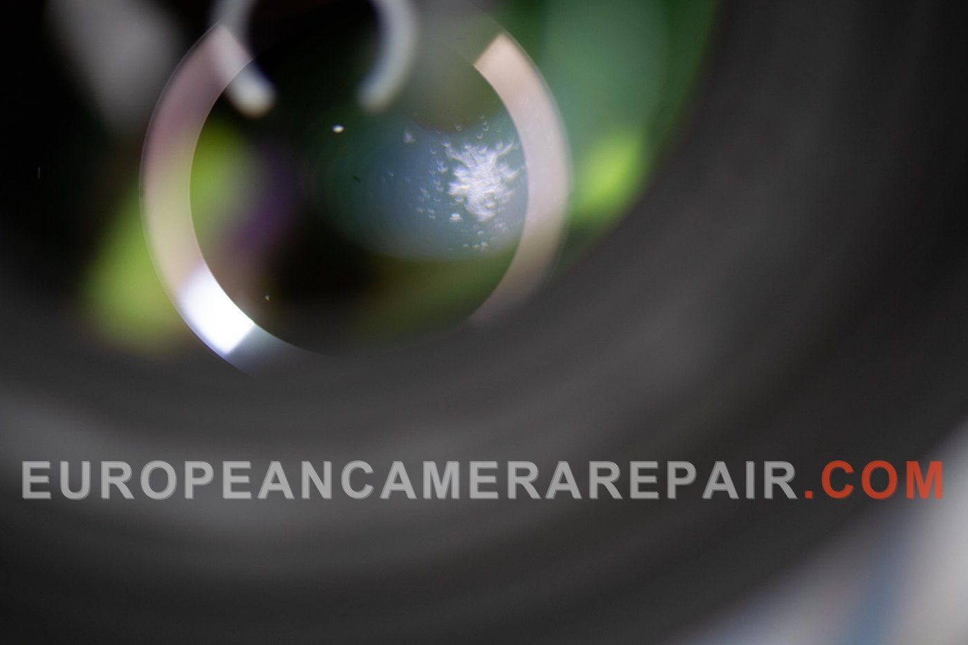 Nikon 28-70mm f/2.8 Lens Fungus Cleaning Service